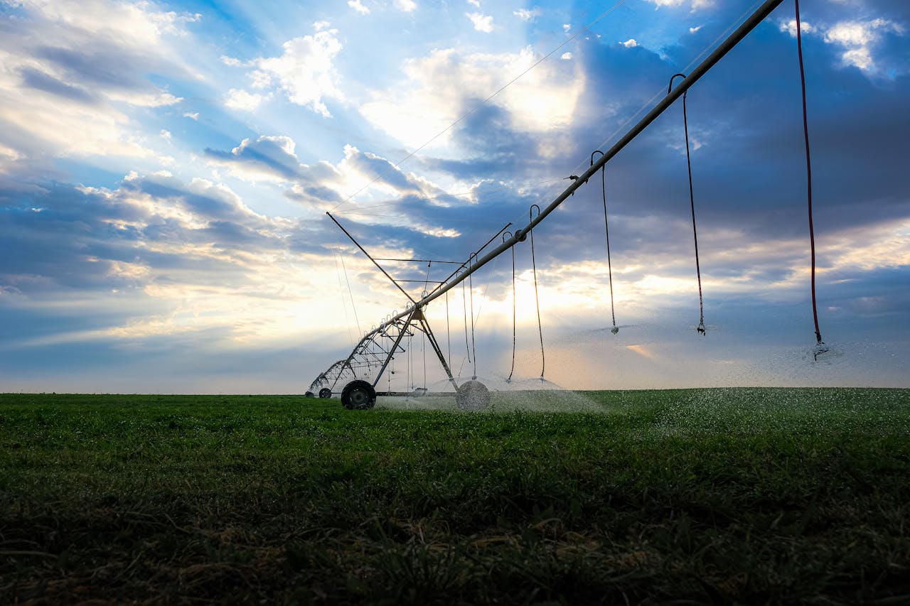 A vibrant image of an irrigation system watering a green field in Qatar under dramatic skies.